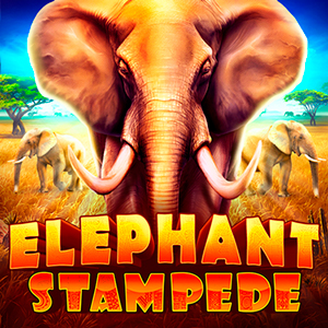 Elephant Stampede